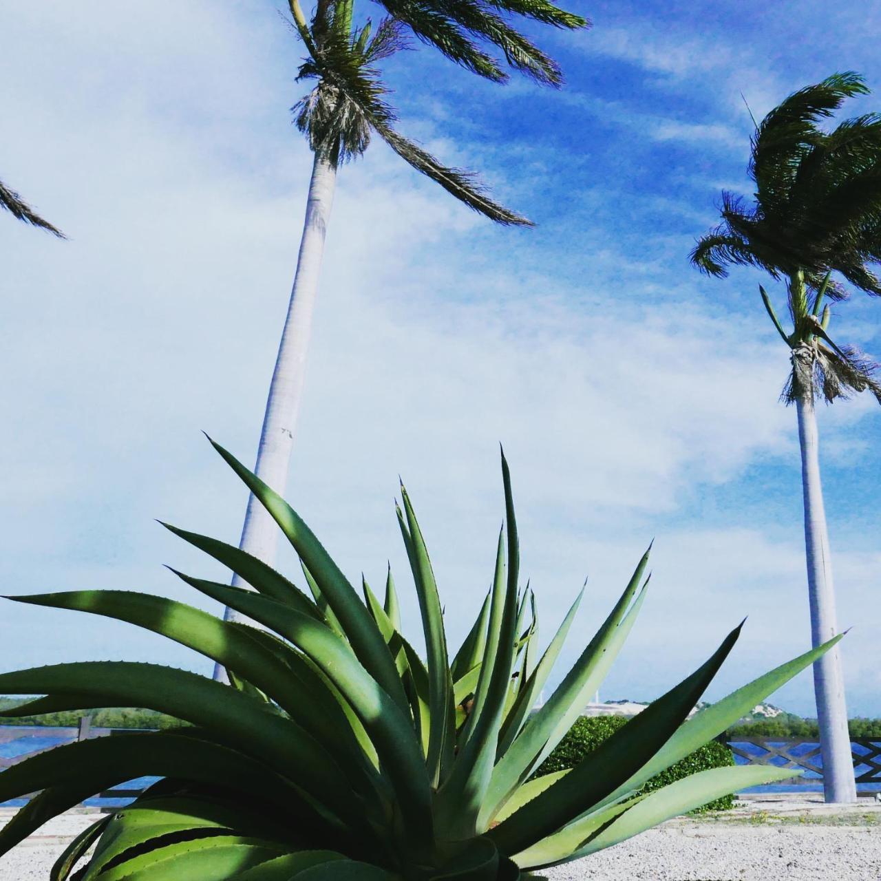 Vila Do Vento フォルチン エクステリア 写真